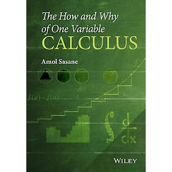 The How And Why Of One Variable Calculus - Amol Sasane