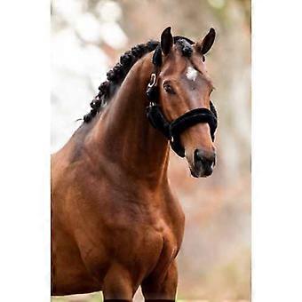 Pianillo Showtime Halter
