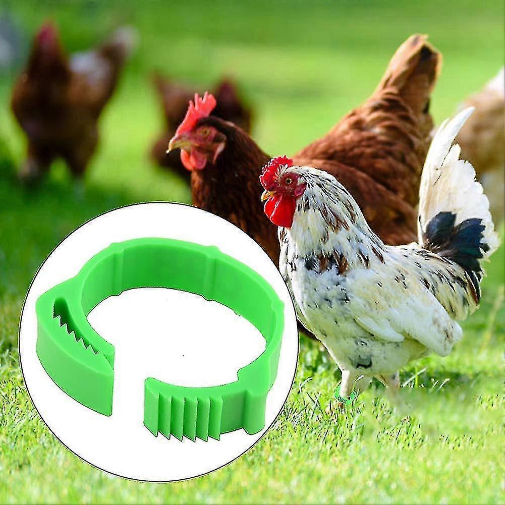 100pcs Chicken Ring Adjustable Size Poultry Legs Number Tag Buckle Duck Poultry Chicken Suppliesgreen--