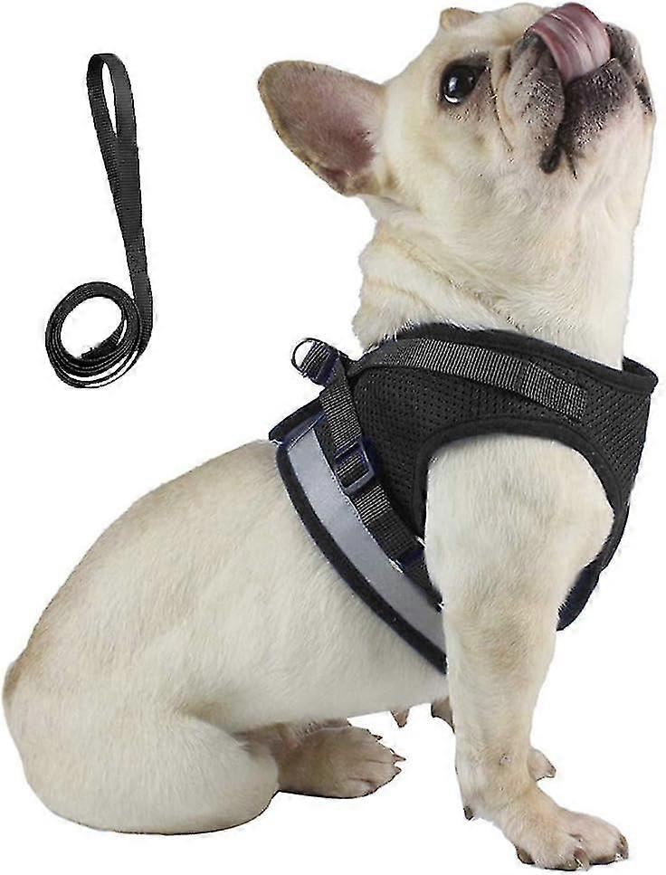 Small Sized No Pull Kitten Cat Harness And Lead Set For Walking, Escape Proof Kitten Vest Harnesses With Buckle For Puppy Small Animals/cats, Easy Fit