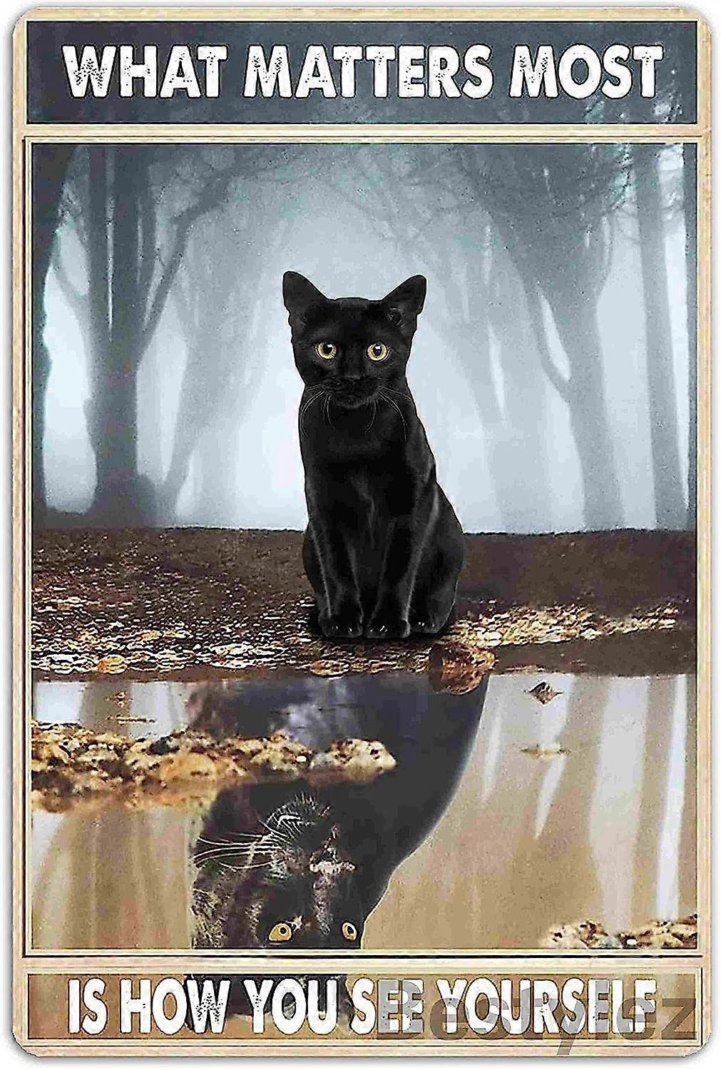 O que mais importa é como você se vê Decoração de Parede de Quarto com Sinal de Gato Preto 8 x 12 Polegadas (920)