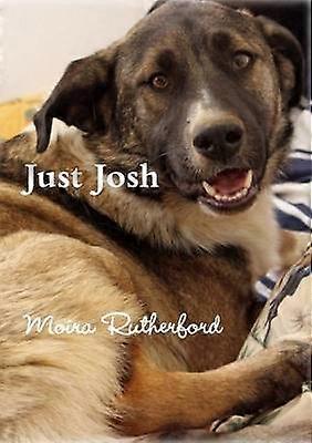 Just Josh