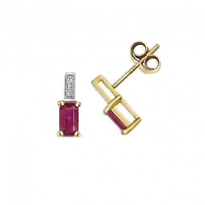 Diamond And Ruby Earrings ED254R