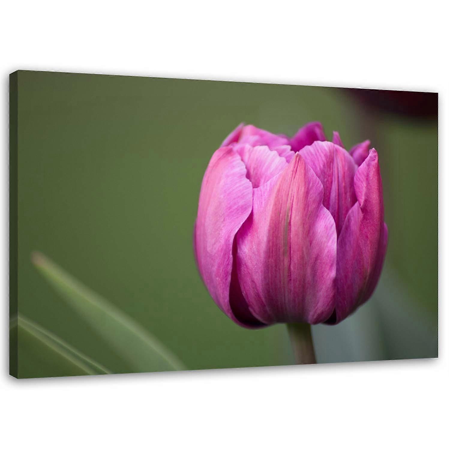 Impression sur toile, Fleur de tulipe violette - 90x60