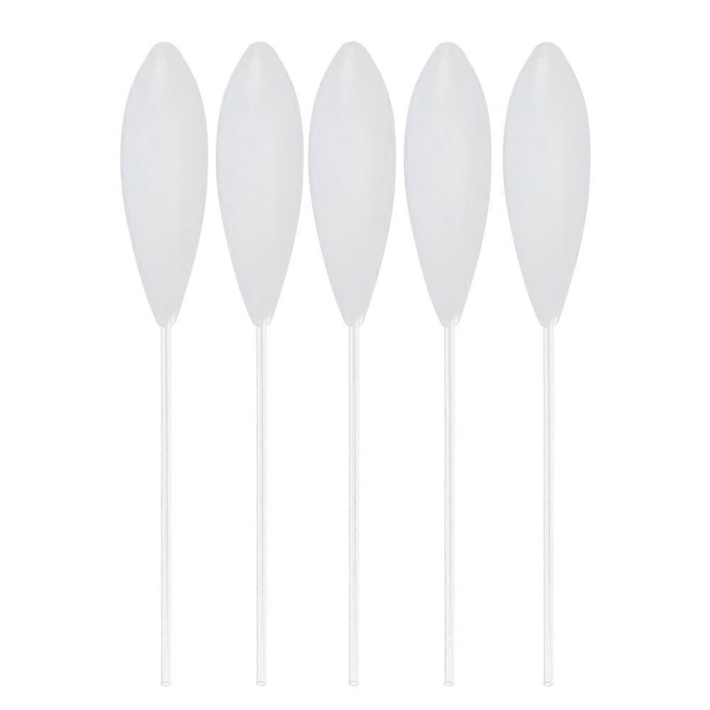 5PCS Acrylic Sinking Large Float EcoFriendly Fishing Tool Accessory for Enthusiasts(40g )