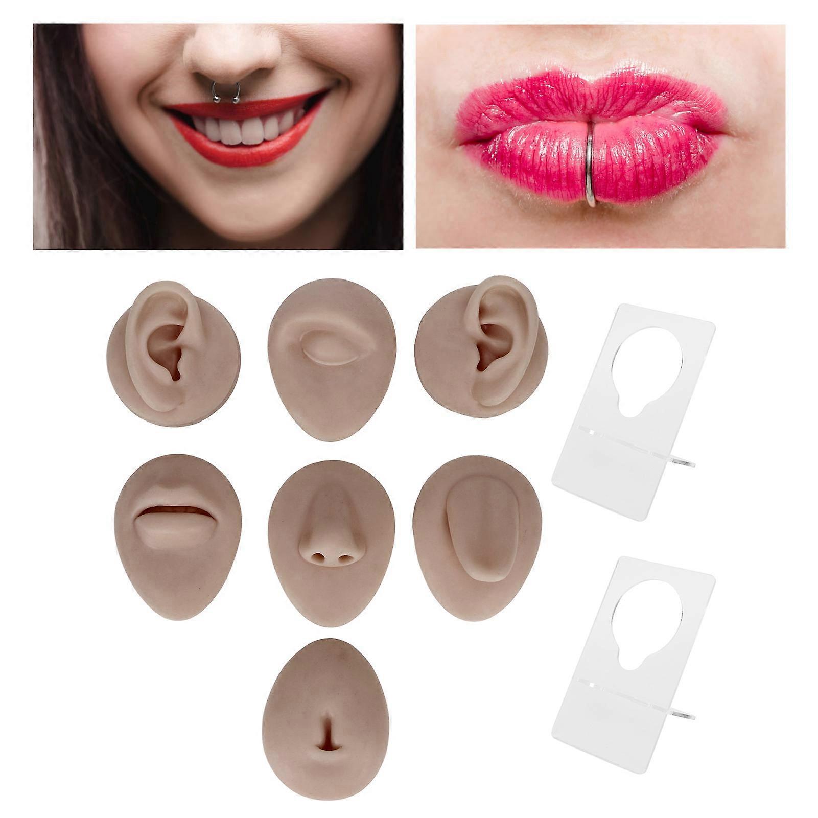 Silicone Body Part Model Soft Silicone Ear Mouth Nose Eye Tongue Navel Model with Display Rack for Teaching Display Practice