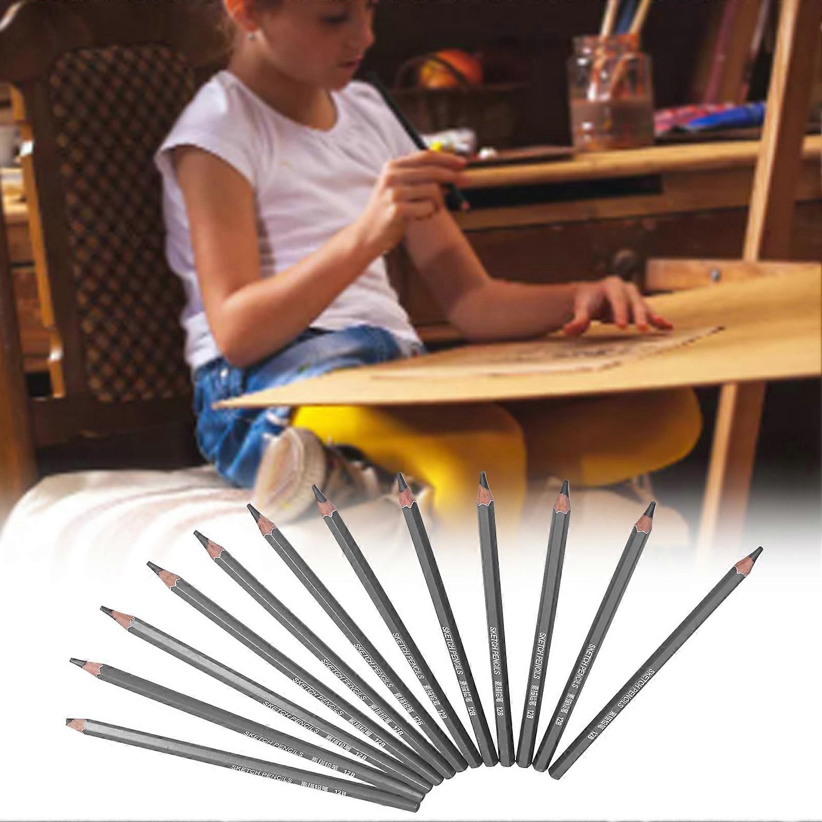 24Pcs Professional Drawing Pencil Set for Artists & Beginners