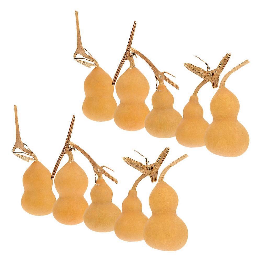 Gourd Crafts Decor Natural Adorns 30 Pieces Pack