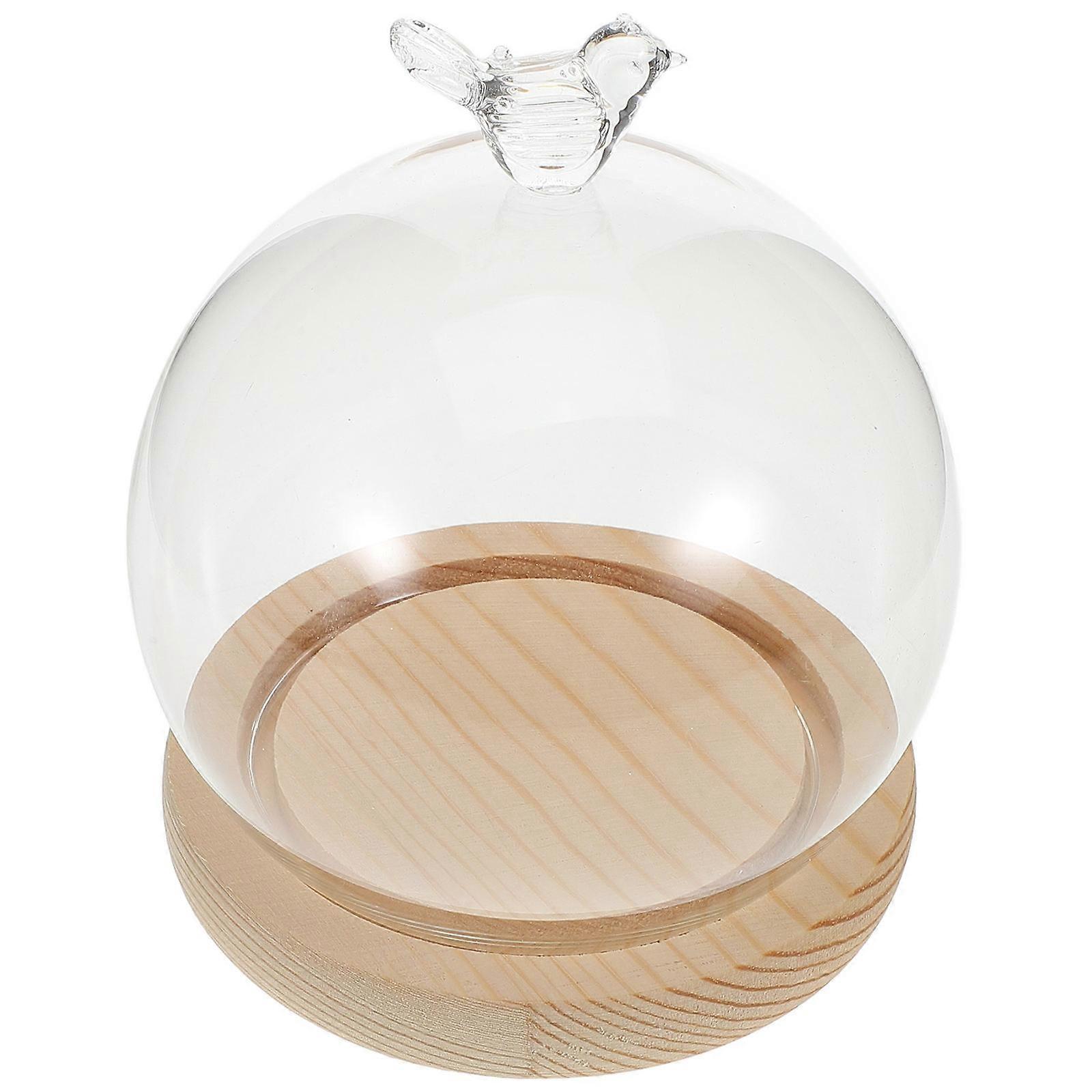 Glass Display Dome with Wood Base for Decoration Multi Color Knob Design 1 Piece