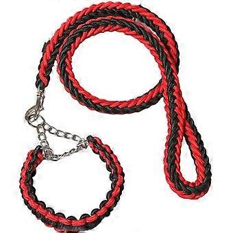 Ensemble collier et laisse pour chien avec mousqueton pivotant, laisse et collier d'éducation pour chiens de petite, moyenne et grande taille
