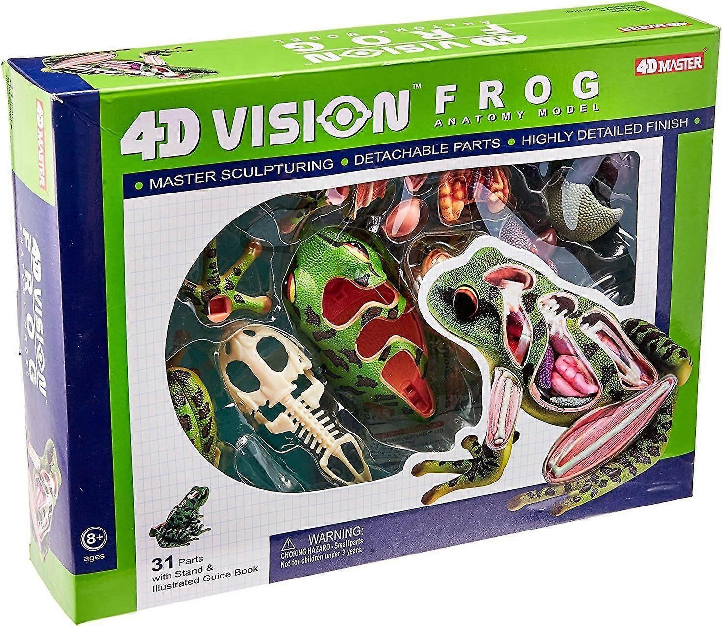 4D Vision Frog Anatomie Model