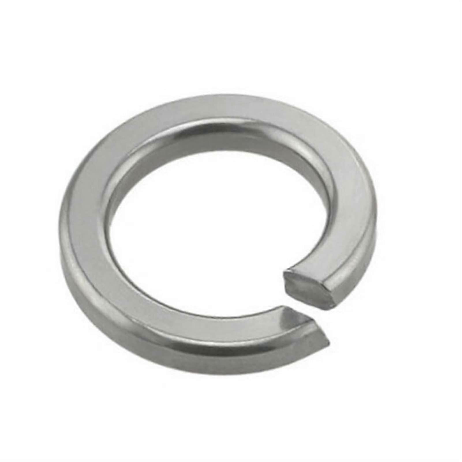 M10 Stainless Spring Washer Pack