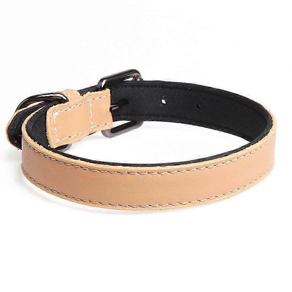 Lightweight Padded Dog Collar