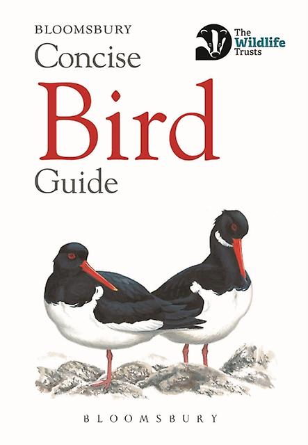 Concise Bird Guide by Bloomsbury Paperback Book