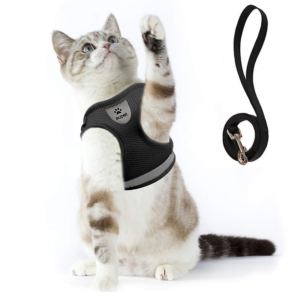 Bell-Style Cat Collar, Adjustable 7.87'-11.78' Kitten Collar, Suitable for All Kinds of Cats and Small Dogs (M, White)