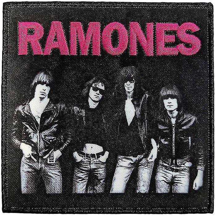 Ramones Band Photo Fer à Passer Sur Patch