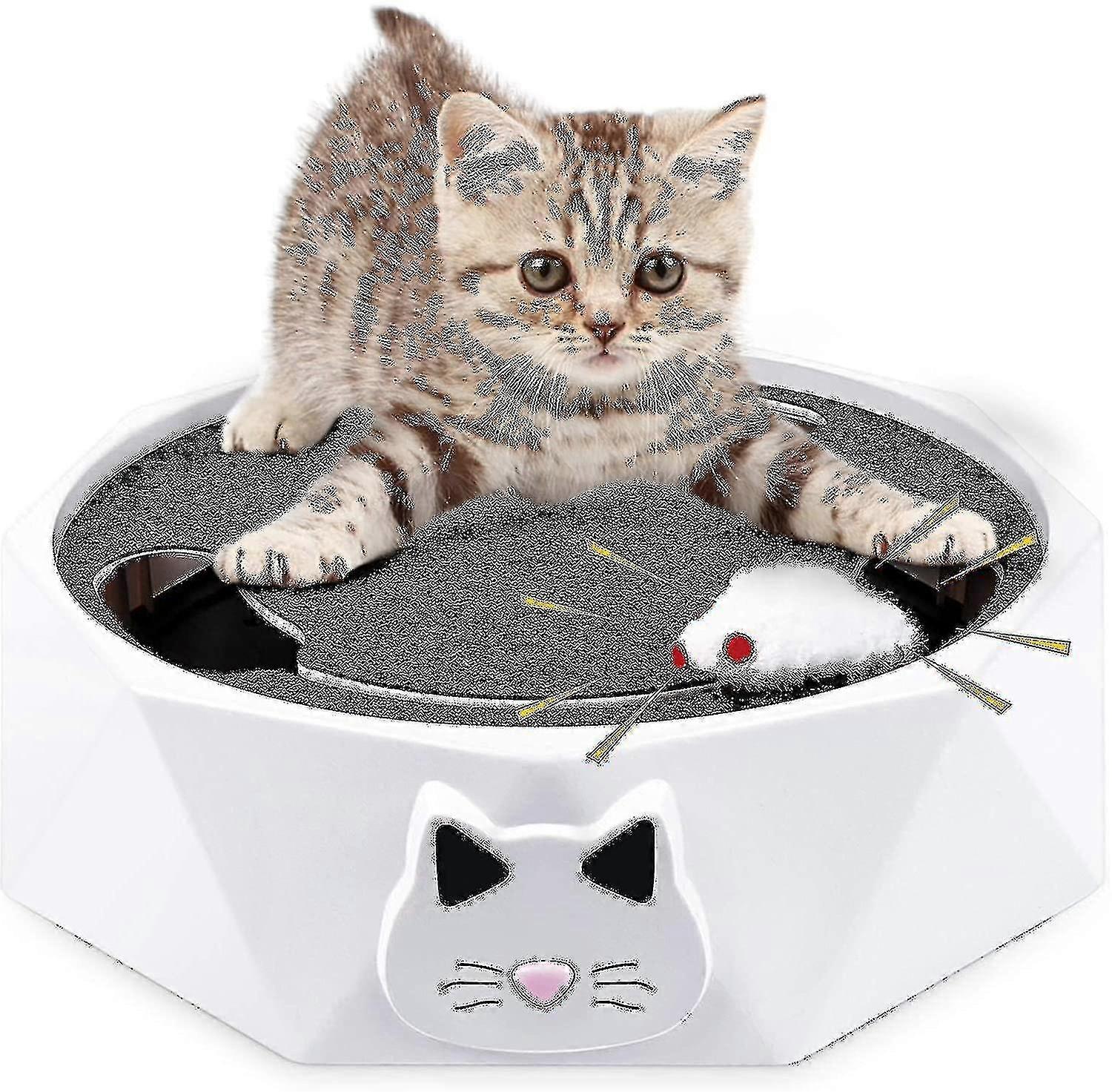 Cat Toy With Running Mouse Interactive Electronic Squeaky Mouse Kitten Toy
