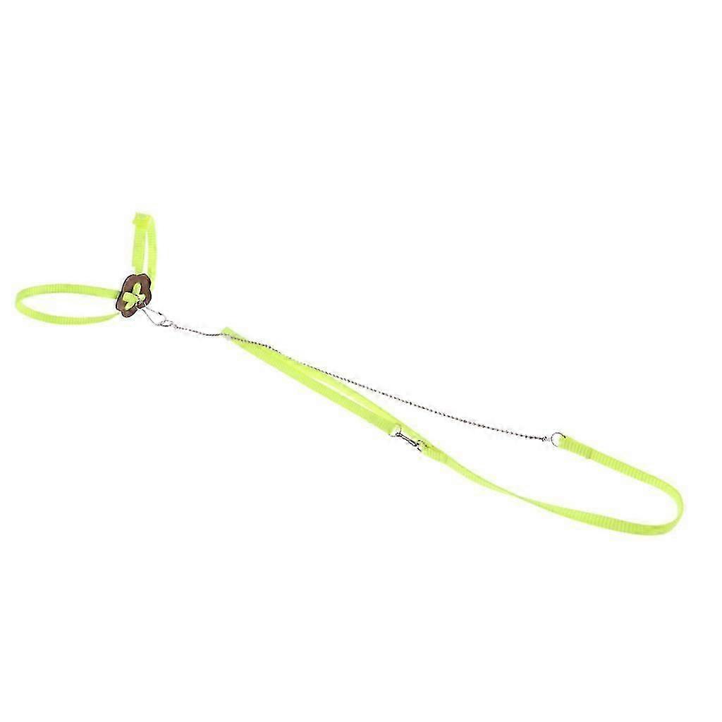 Reptile Lizard Parrot Bird Harness Leash Adjustable Anti-bite Rope Yellow