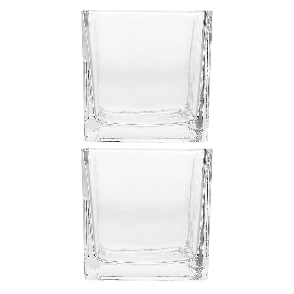 Cube Glass Planter Small Hydroponic Vase for Table Centerpiece Vases 2Pcs