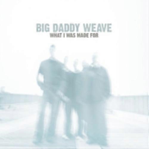 Big Daddy Weave - What I Was Made for  [COMPACT DISCS] USA import