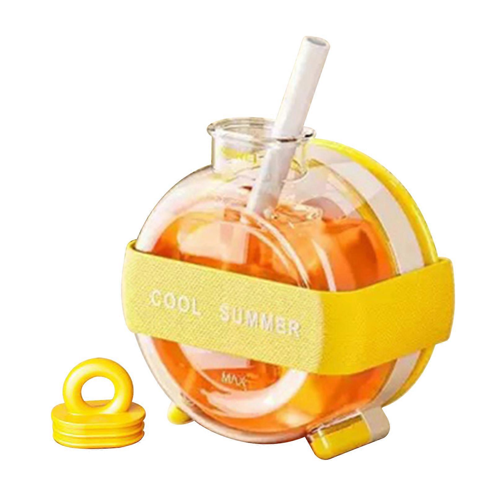 Ice Tray Bottle Versatile Ice Cup Drink Bottle for Home Kitchen