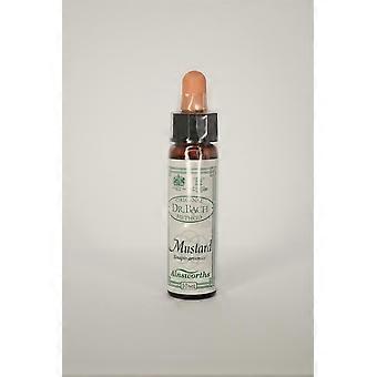 Dr Bach Mustard Bach Flower Remedy 10ml - 3 Pack