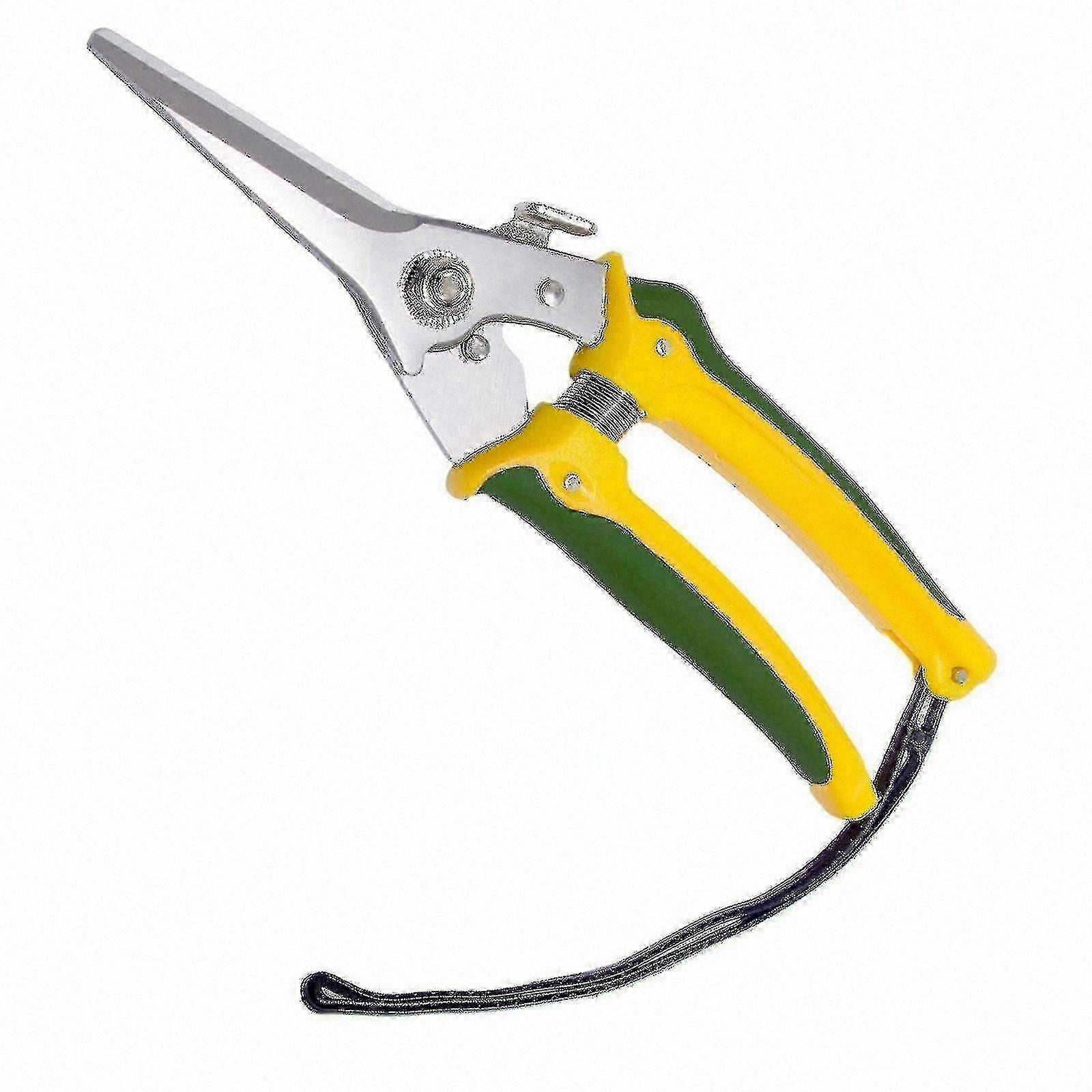 Durable Hoof Trimming Scissors for Sheep and Horse Foot Maintenance