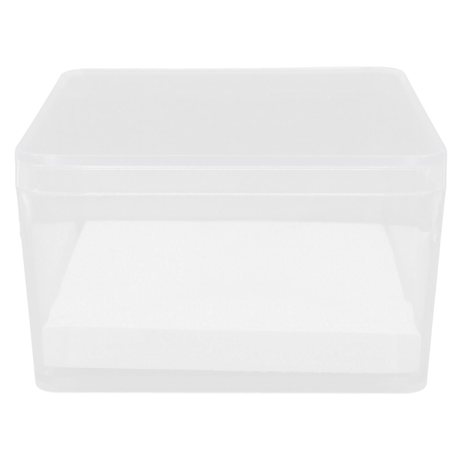 Transparent Specimen Case for Collectors Display Square Plastic Insect Storage Box for Display 1 Set
