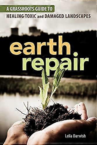 Erde-Reparatur
