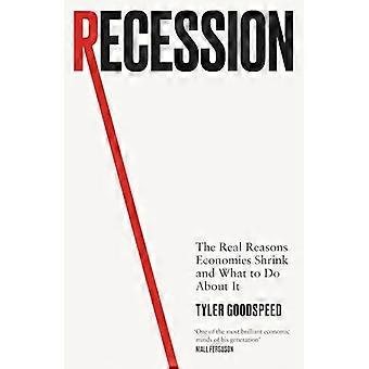 Recession The Real Reasons Economies Shrink and What to Do About It