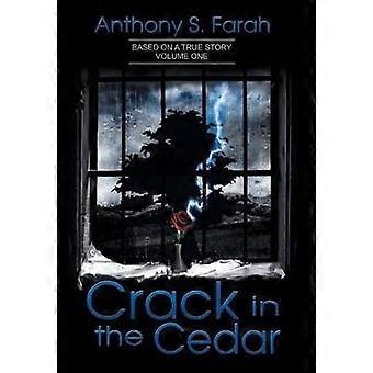 Crack in the Cedar 1