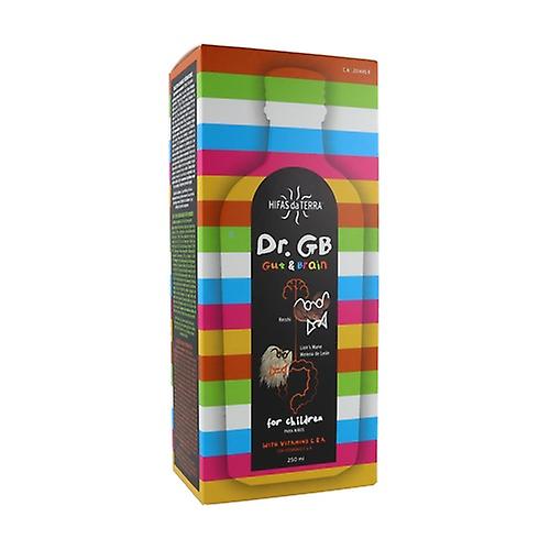 Dr. GB Gut & Brain Syrup 250 ml