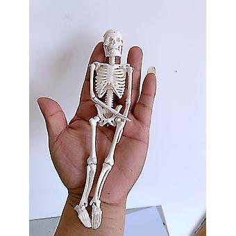 Mini-Skelett-Spielzeug Winziges Skelettmodell mit abnehmbarem Schädel für K