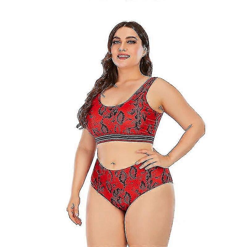 Maillots de bain taille haute pour femmes 2024 New Explosion DG