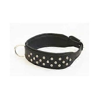 Extra Wide Leather Dog Collar