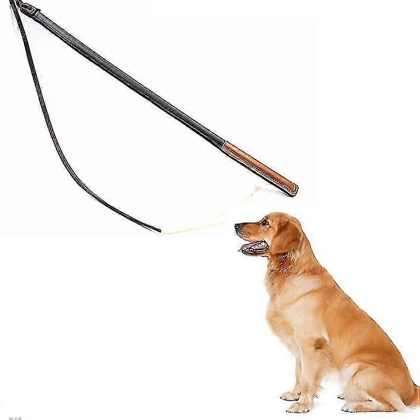 Professional Dog Training Whip--