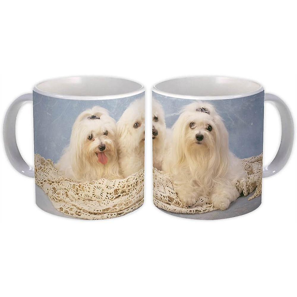 Gave krus: Lhasa Hund