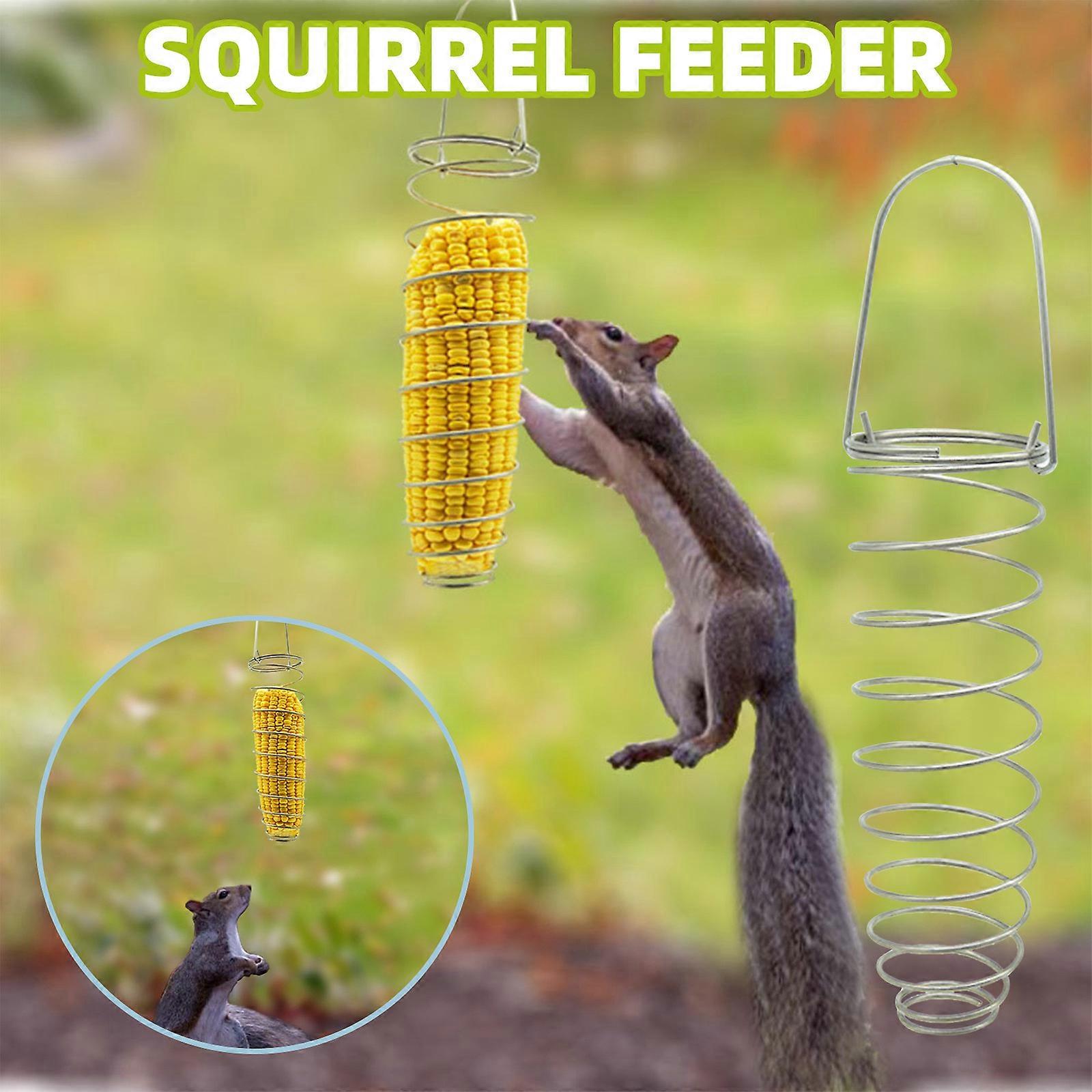 Outdoor Hanging Iron Squirrel Feeder And Bird Feeder In Courtyard