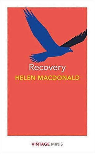 Recovery: Vintage Minis