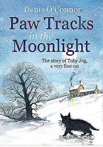 Paw Tracks in the Moonlight