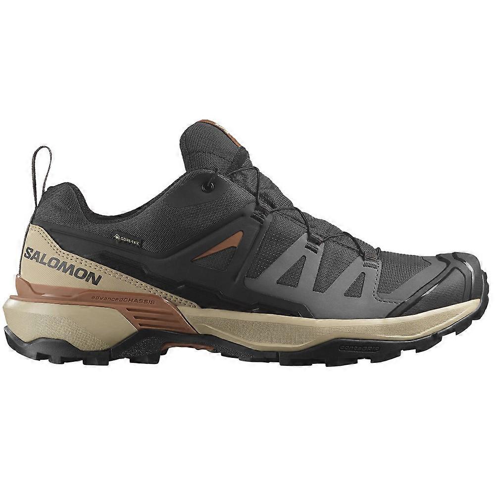 Shoes Salomon X Ultra 360 Gtx 476870