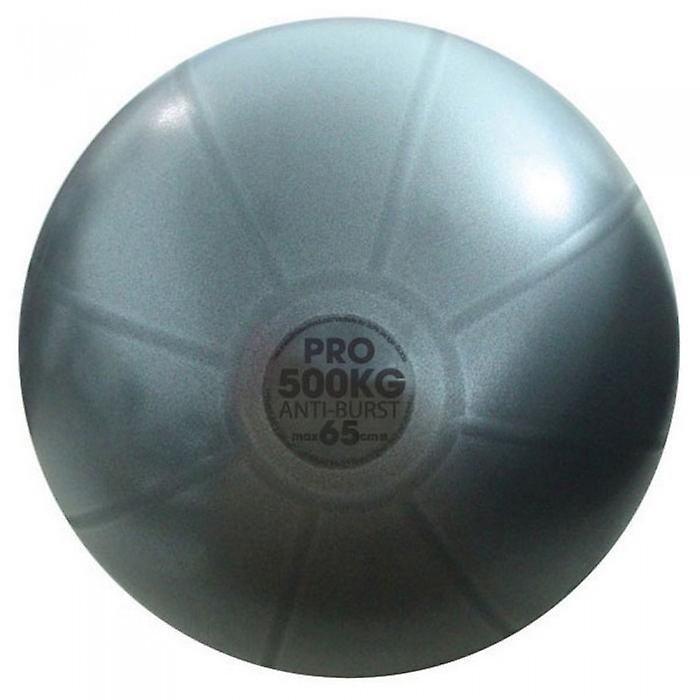 Fitness Mad Studio Pro Swiss Ball
