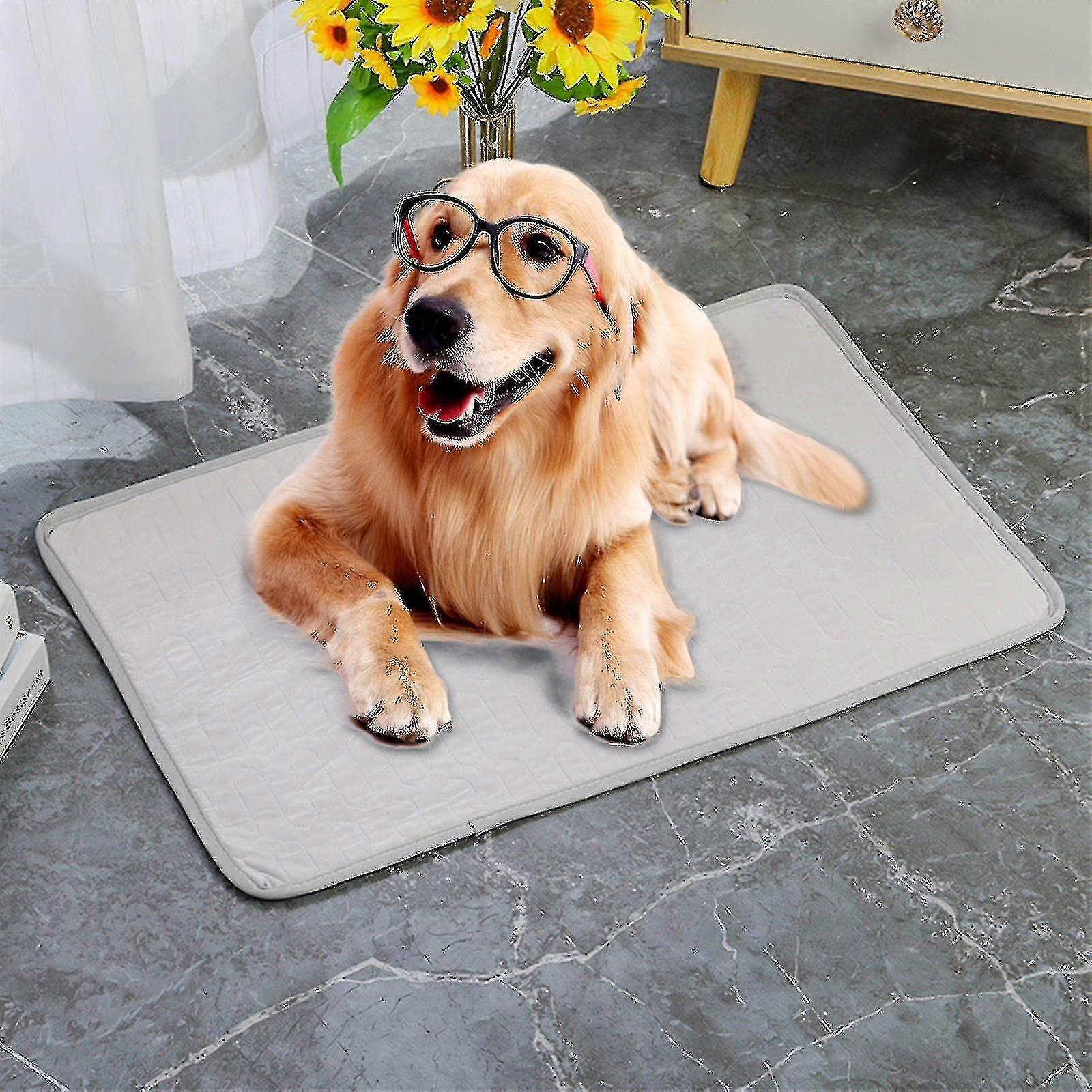 Pet C-ooling Mat For Dogs Cats-ice Silk Dog C-ooling Mats, Portable & Washable Pet C-ooling Blanket For Kennel/sofa/bed/floor/car Seats