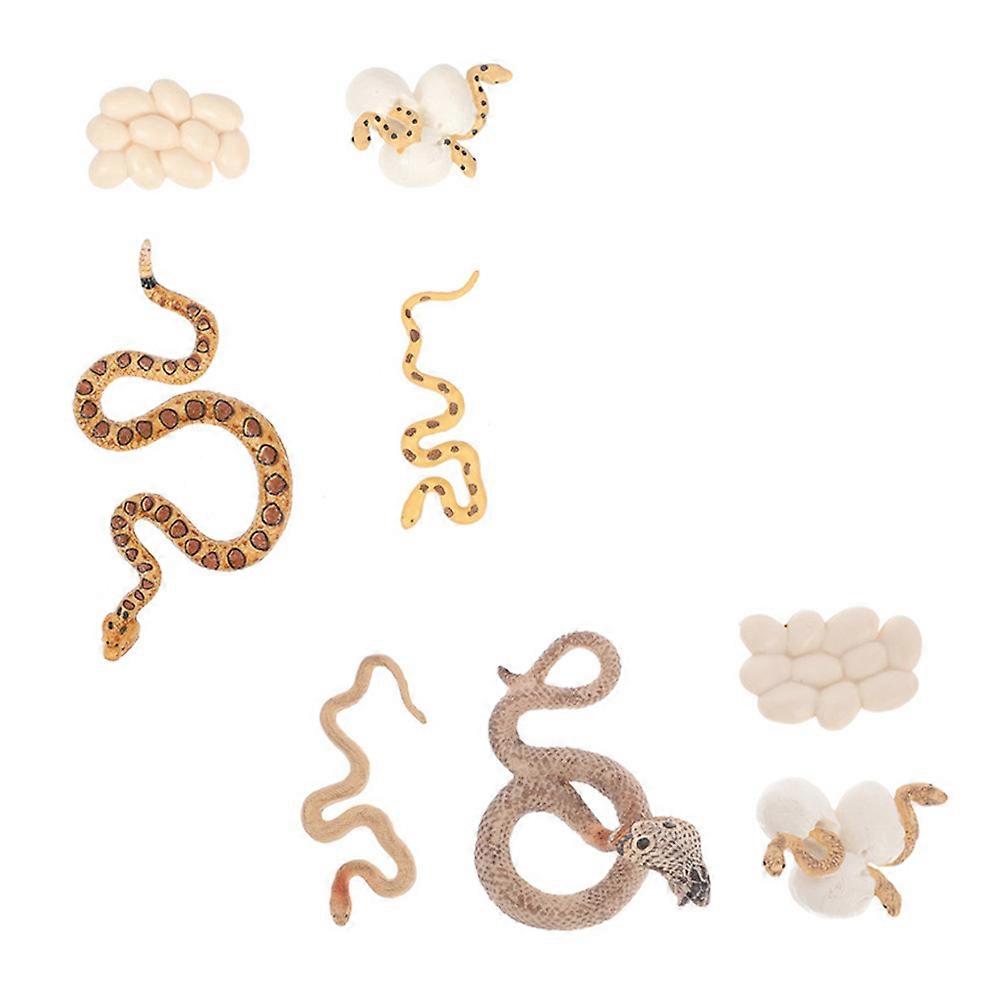 Assorted Color Model Toys for Educational Use 2Sets