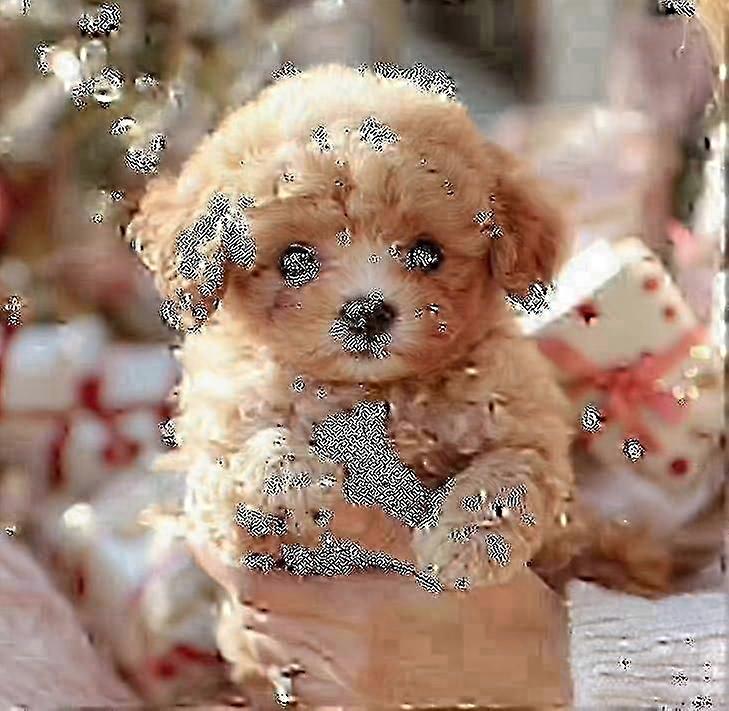 2025 New Robot Dog for Adults, AI Robotic Dog, Nicoo - My Realistic Robot Puppy That Acts Like a Real Puppy - Walking, Barking, Tail W