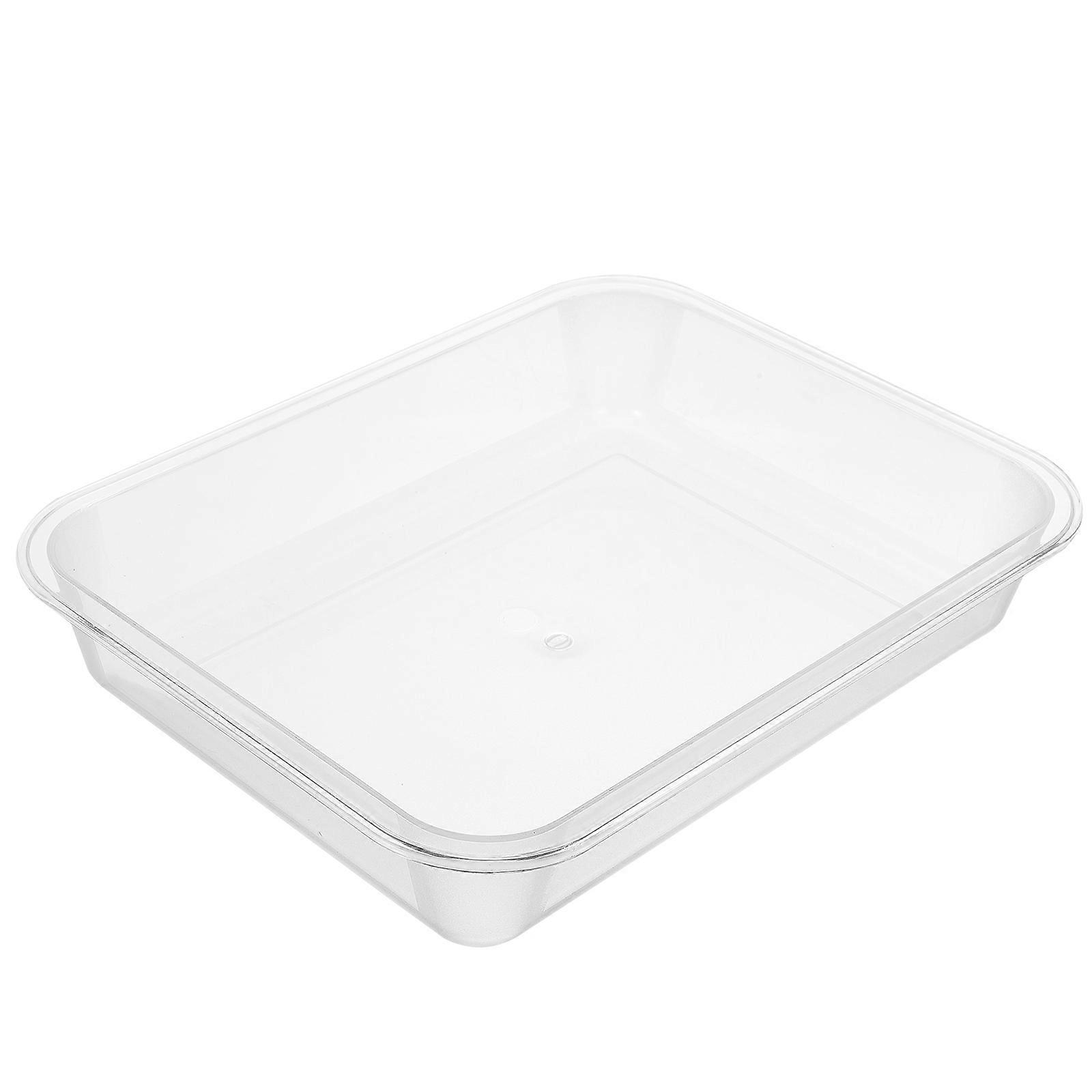 Transparent Rectangular Dumplings Storage Tray for Food 2Pcs Multi-Function Plate