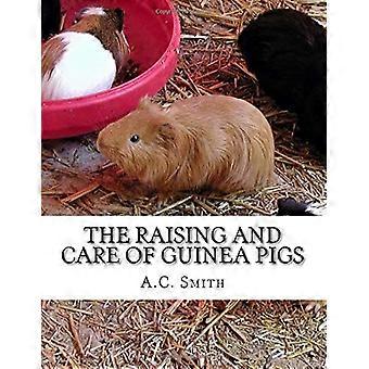 Het fokken en verzorgen van cavia's: een complete gids voor het fokken en tentoonstellen van tamme cavia's