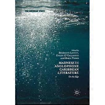 Hulluus anglofonisessa Karibian kirjallisuudessa reunalla - Springer Nature B.V - Pehmeäkantinen - fi-kirja