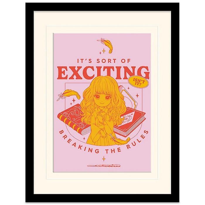 Harry Potter Witty Witchcraft-Snitch Possible Print