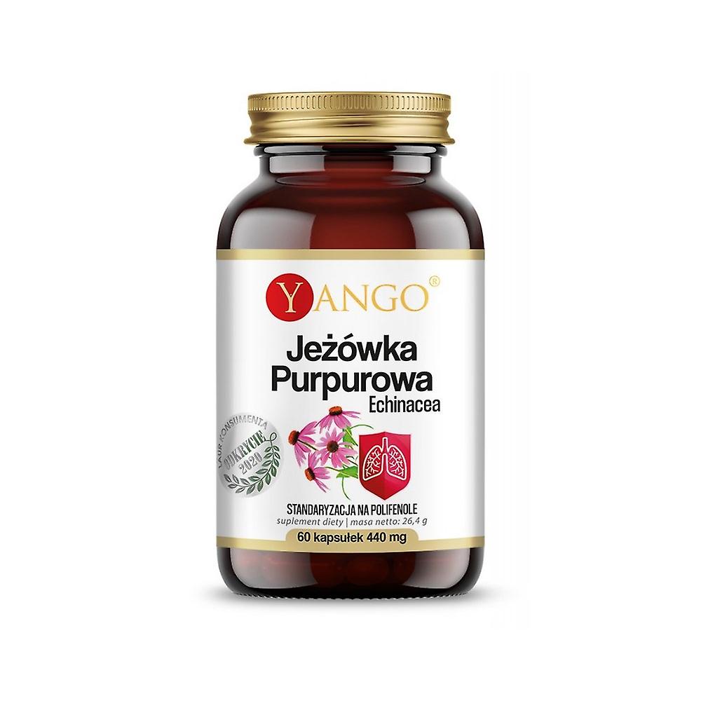 Yango Echinacea BI4711